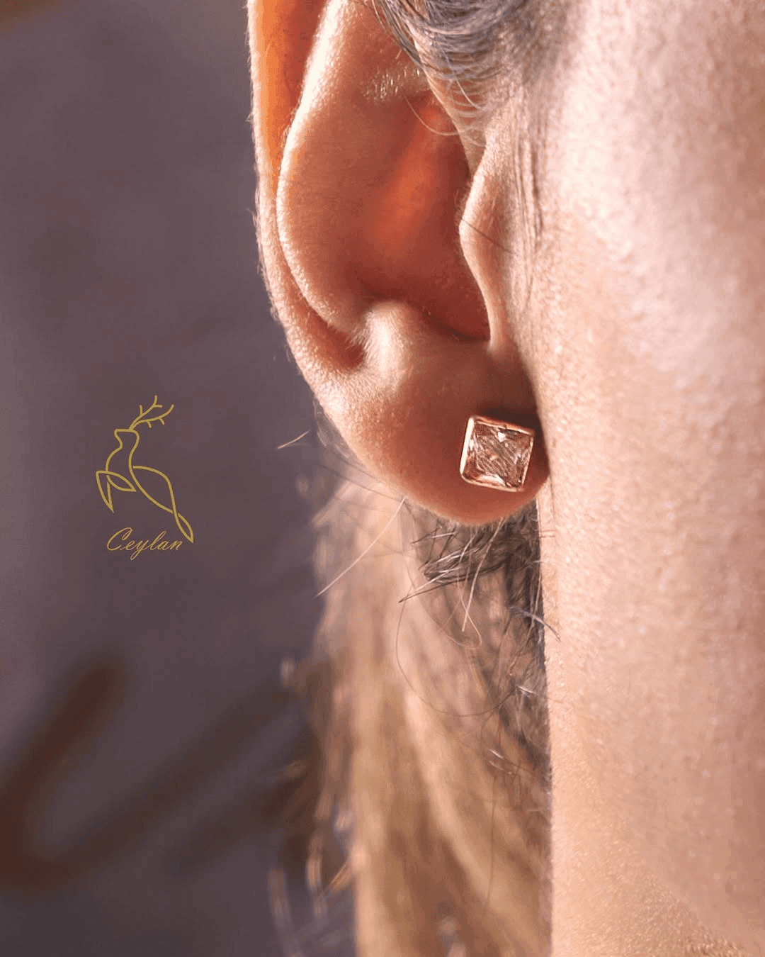 نمایشگاه جیلان گلد